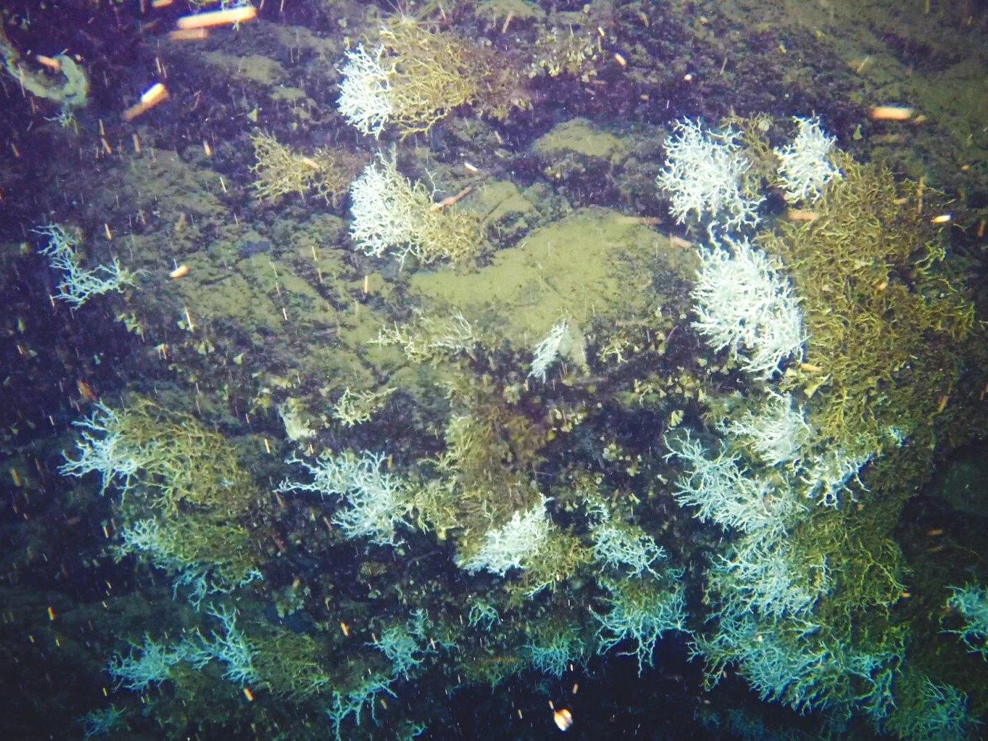 Office and outreach coordination